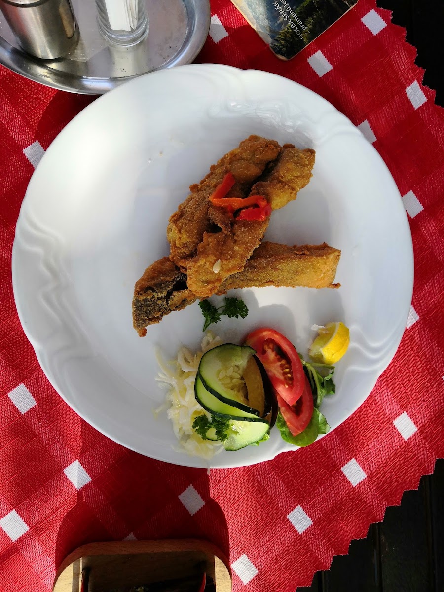 Rybarska Restaurace A Penzion U Horaku-6