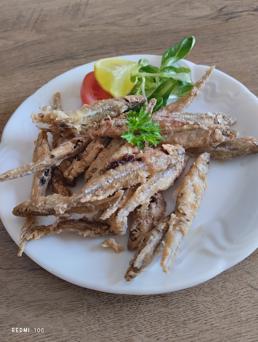 Rybarska Restaurace A Penzion U Horaku-8